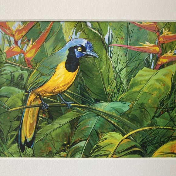 8x10" Colombia Cafe Quindio Art Print (w/mat): Green Jay- HOME - Picture 4 of 8
